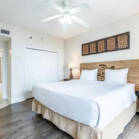 Ariel Dunes I 503